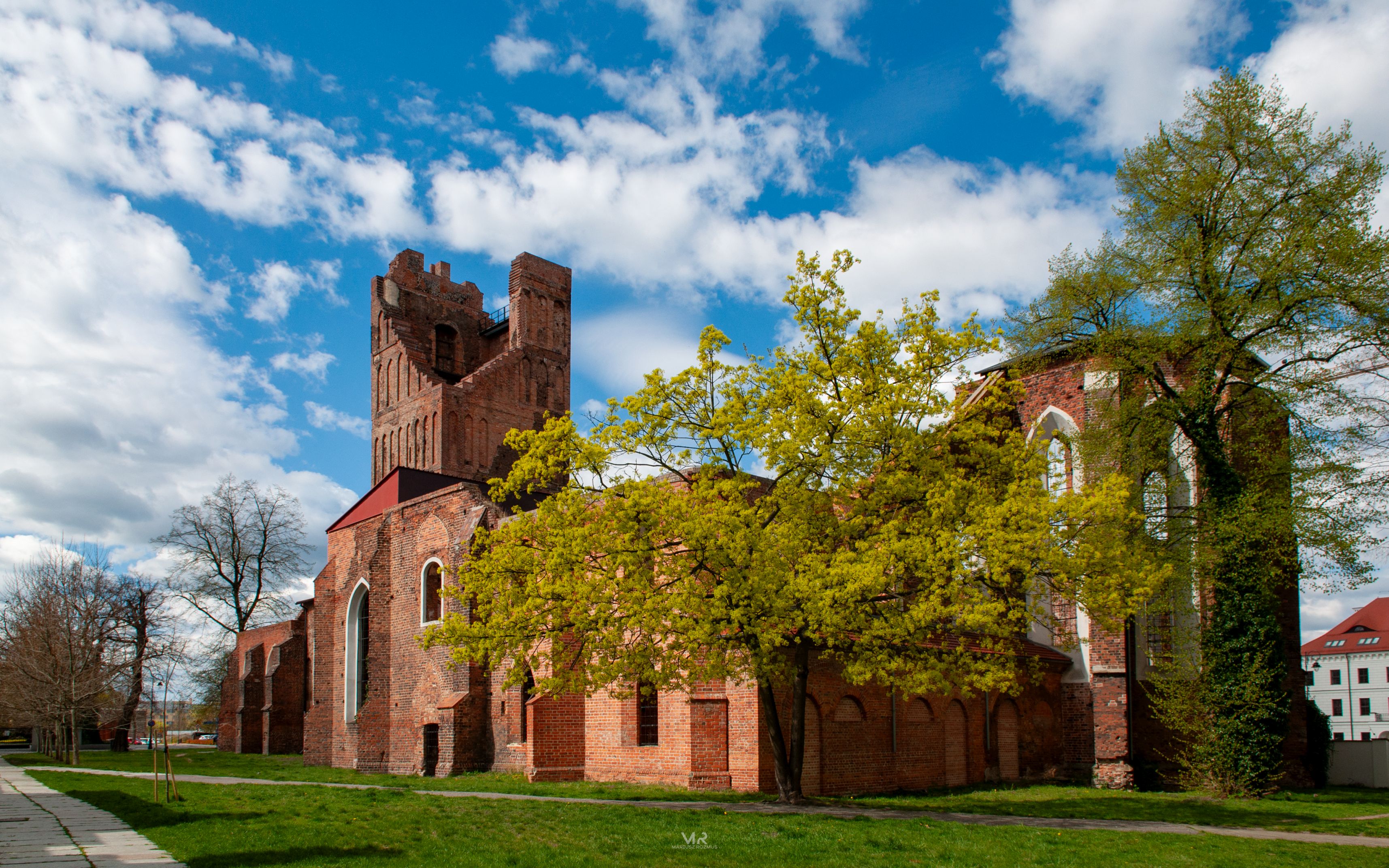 Głogów