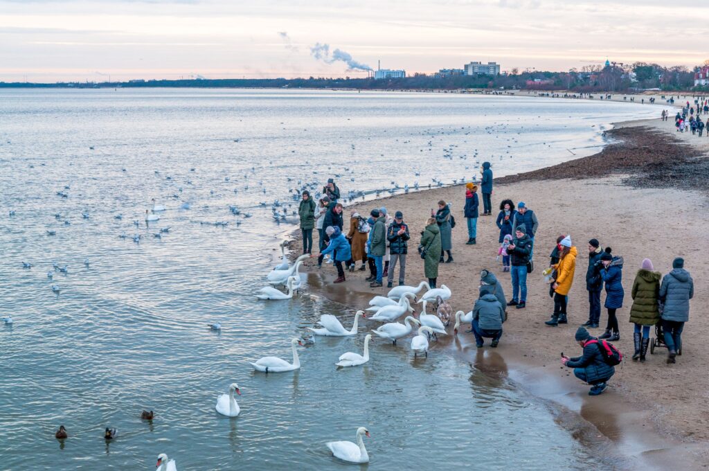Sopot