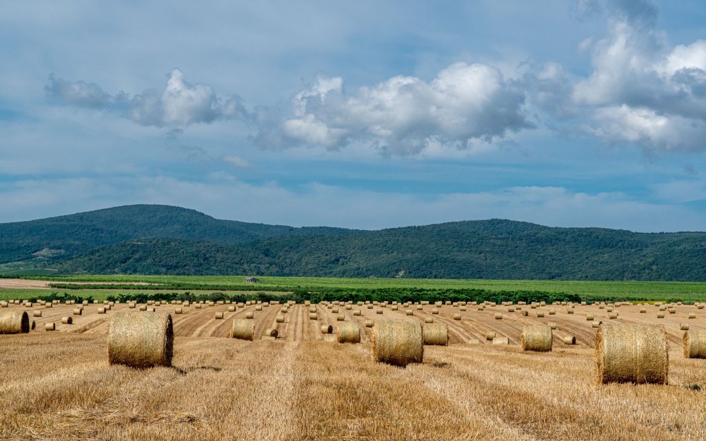 Węgry - Kőporosi Pincesor - Hercegkút
