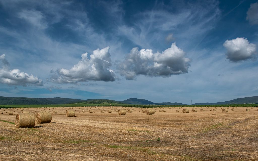 Węgry - Kőporosi Pincesor - Hercegkút