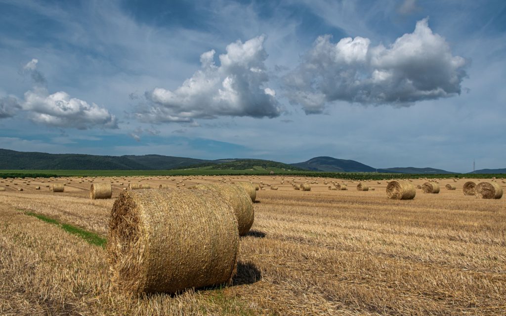 Węgry - Kőporosi Pincesor - Hercegkút
