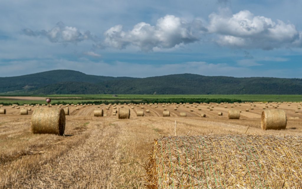 Węgry - Kőporosi Pincesor - Hercegkút