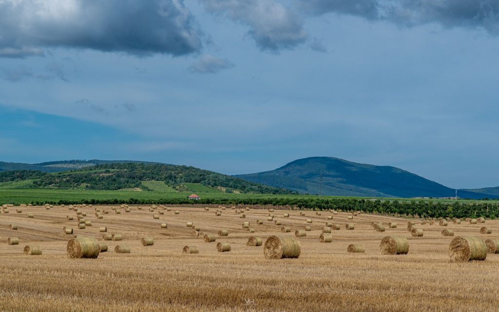 Węgry - Kőporosi Pincesor - Hercegkút