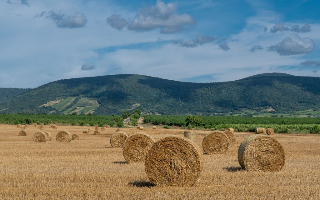 Węgry - Kőporosi Pincesor - Hercegkút