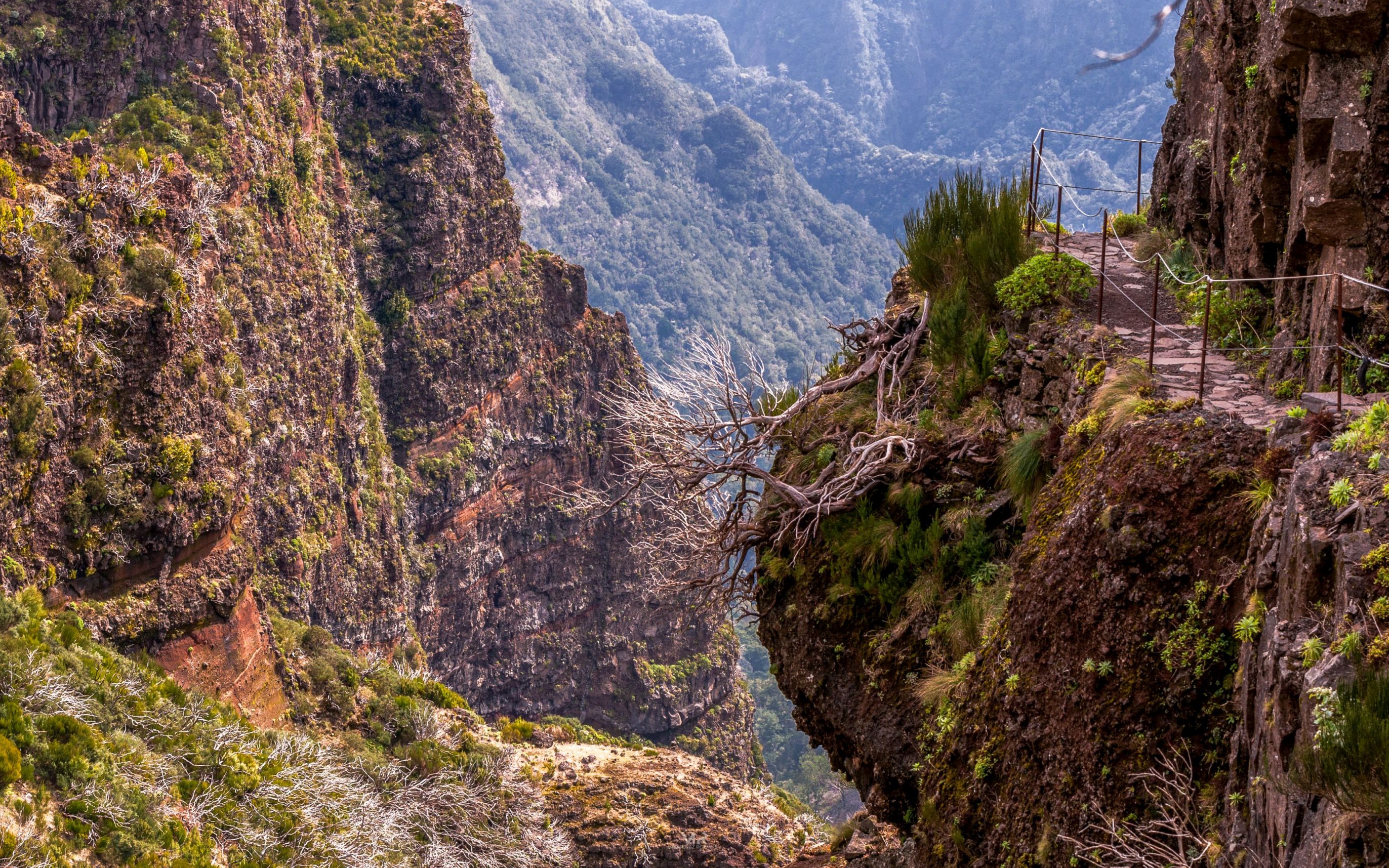 Pico Ruivo