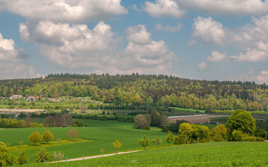 Sipplingen