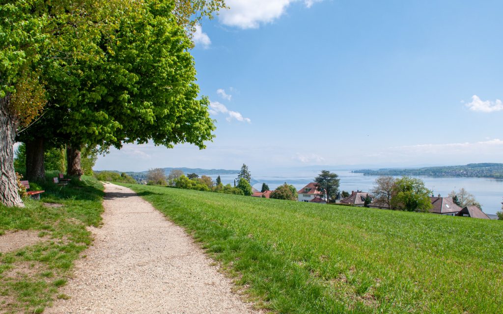 Sipplingen