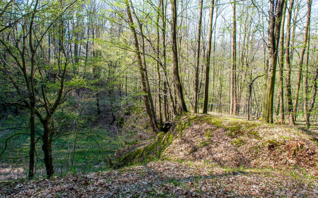 Ustroń - Skalica
