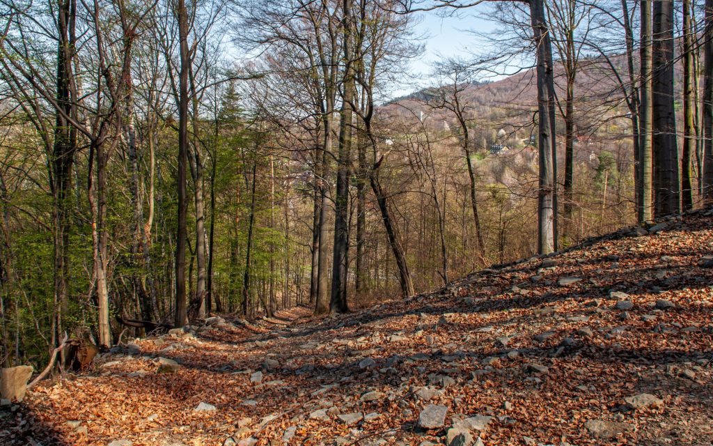 Ustroń - Skalica