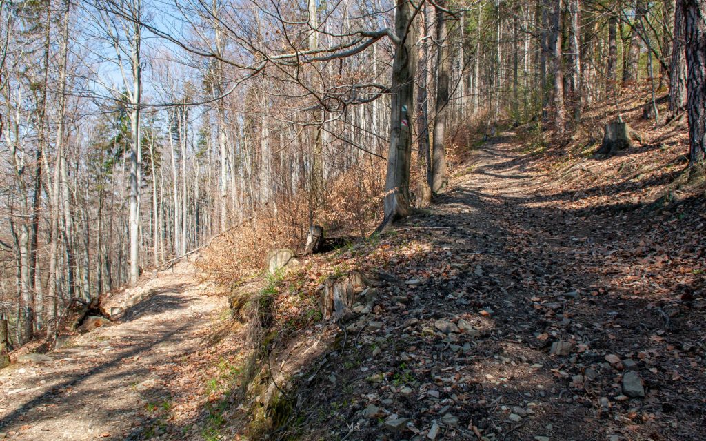 Ustroń - Skalica