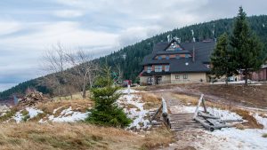 Beskid Żywiecki - Hala Miziowa