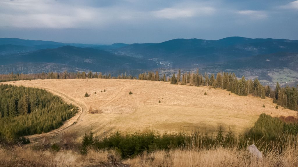 Hala Miziowa 1270 m n.p.m.
