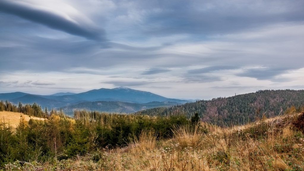 Hala Miziowa 1270 m n.p.m.