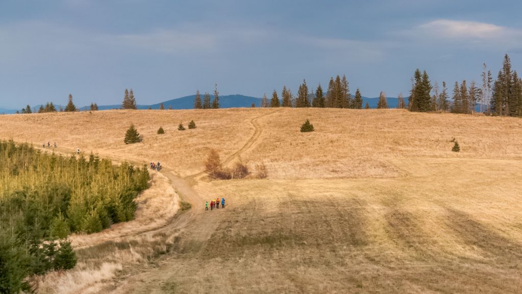 Hala Miziowa 1270 m n.p.m.