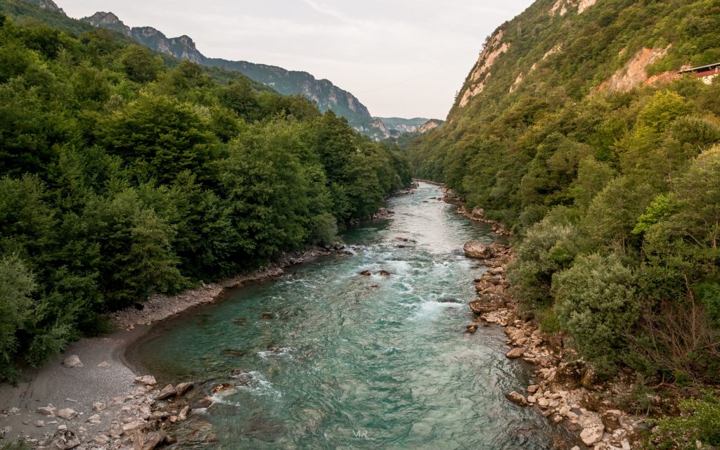 Scepan Polje