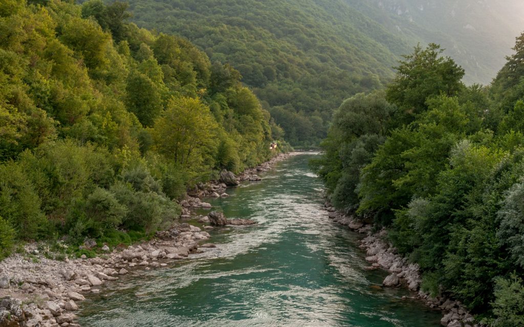 Scepan Polje