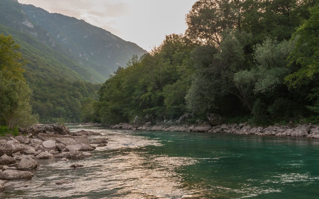 Scepan Polje