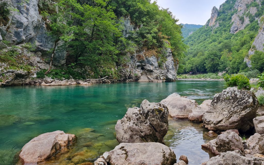 Scepan Polje