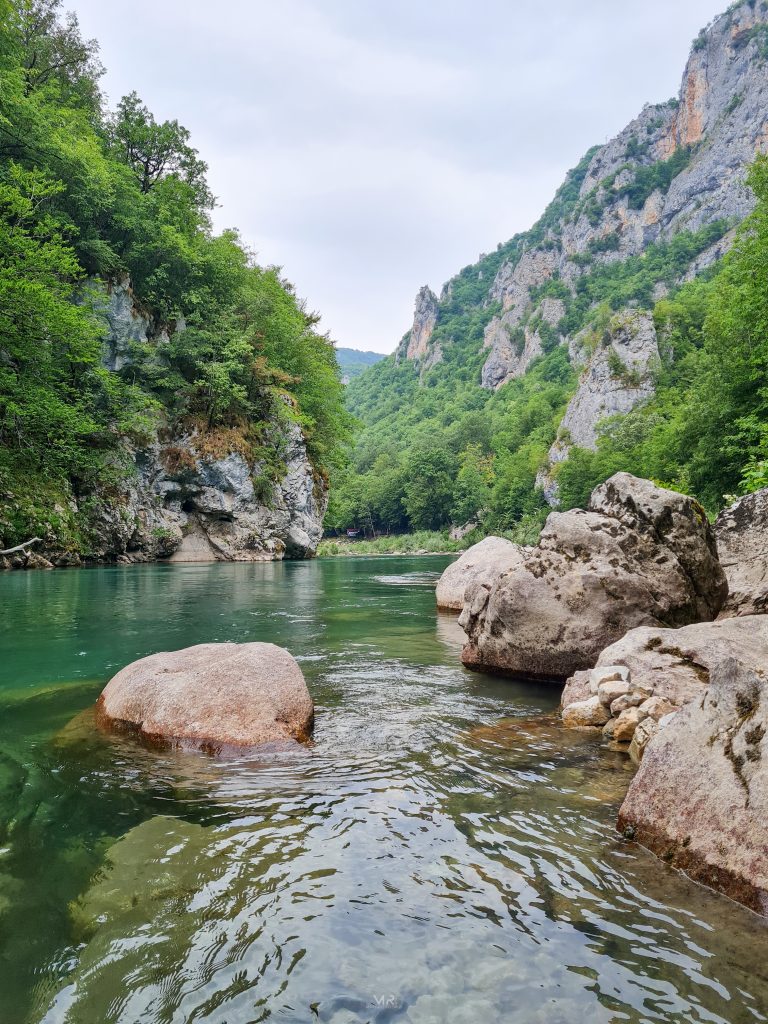Scepan Polje